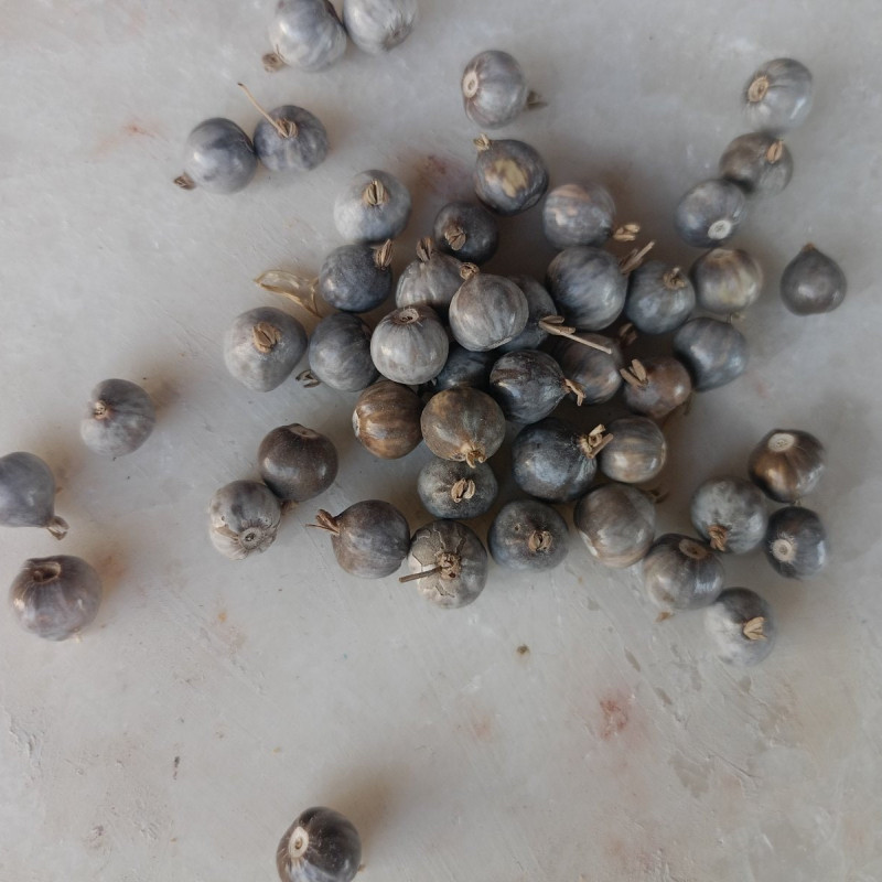 Job's tear prayer rope Theotokos tears bracelet 10021