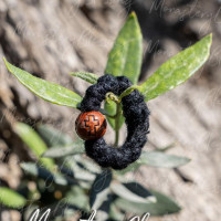 Finger rosary monastic style wool 10351